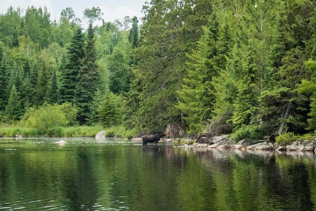 Área de canoa Boundary Waters:remando na natureza