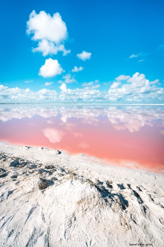Gli incredibili laghi rosa di Las Coloradas in Messico