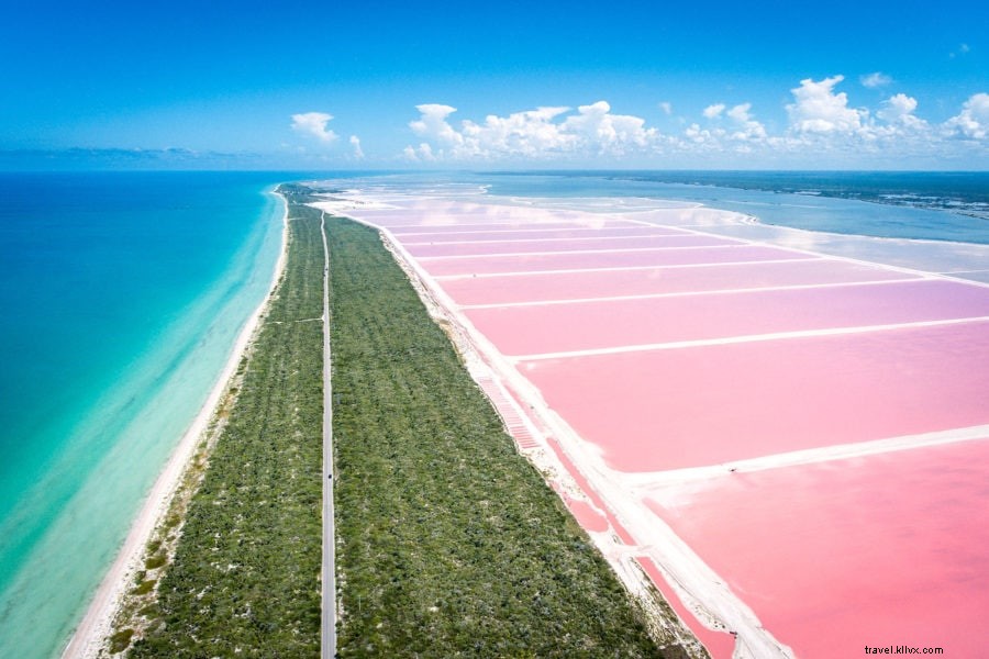 メキシコのラスコロラダスの信じられないほどのピンクの湖