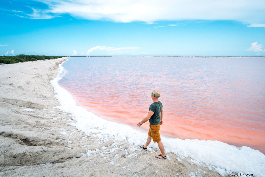 Los increíbles lagos rosados ​​de Las Coloradas en México