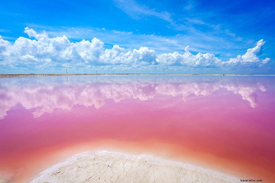 Gli incredibili laghi rosa di Las Coloradas in Messico