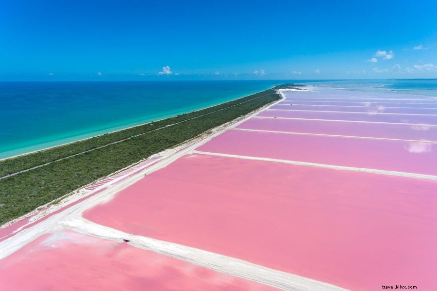 Les incroyables lacs roses de Las Coloradas au Mexique