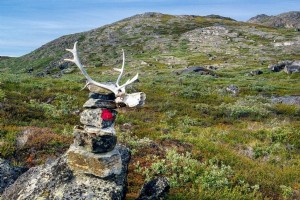 Caminhando a trilha do Círculo Polar Ártico da Groenlândia:PARTE 2