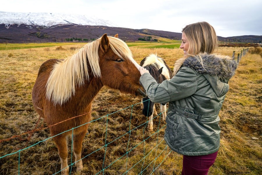Conduire le cercle d or :excursion d une journée populaire en Islande