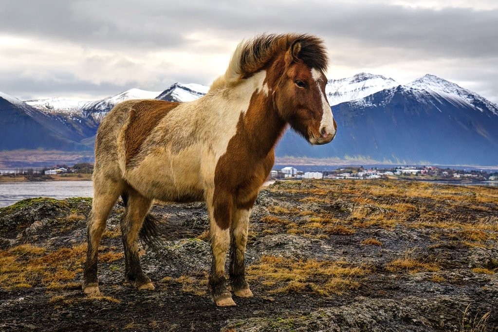 25 lieux de photographie en Islande que vous ne croiriez pas exister