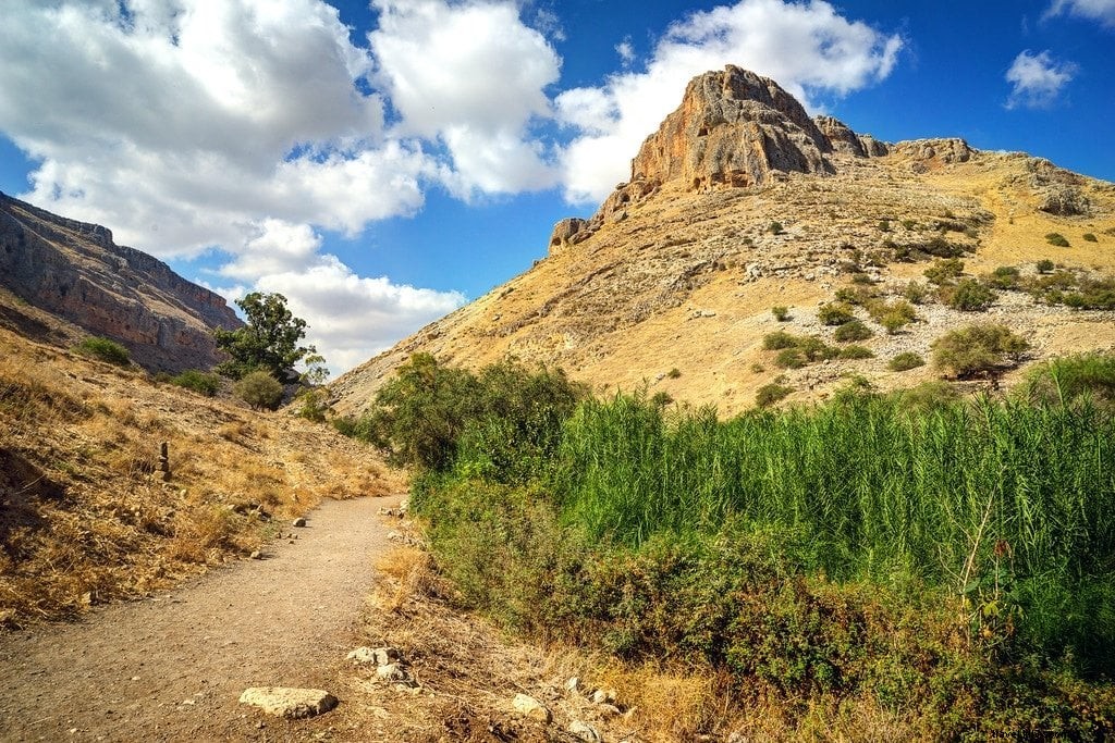 聖地をハイキングする：イスラエルのナショナルトレイル