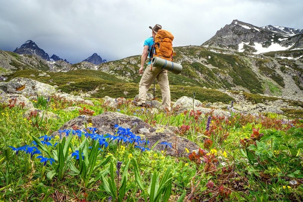 野花と氷：トルコの雄大なカッカー山脈のハイキング
