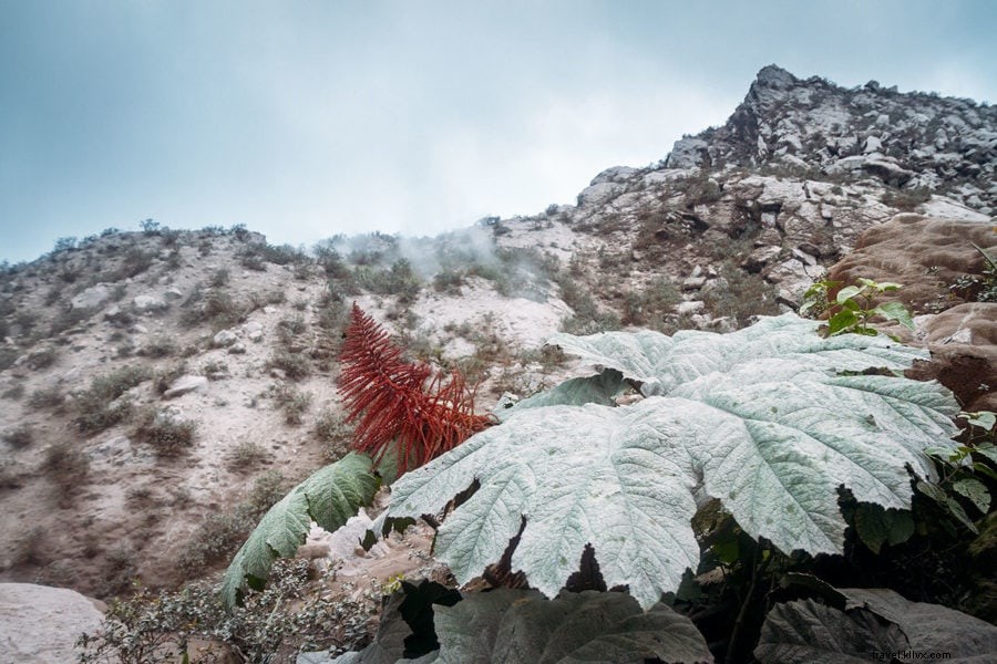 サンティアギート山のハイキング：グアテマラの爆発する火山を訪ねる