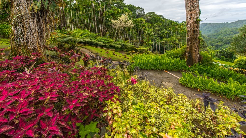 14 lugares más bellos para visitar en Martinica