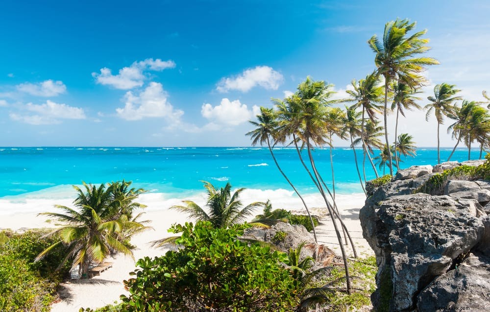 Las 15 playas más hermosas de Barbados
