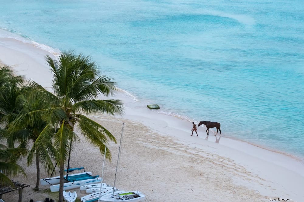 Las 15 playas más hermosas de Barbados
