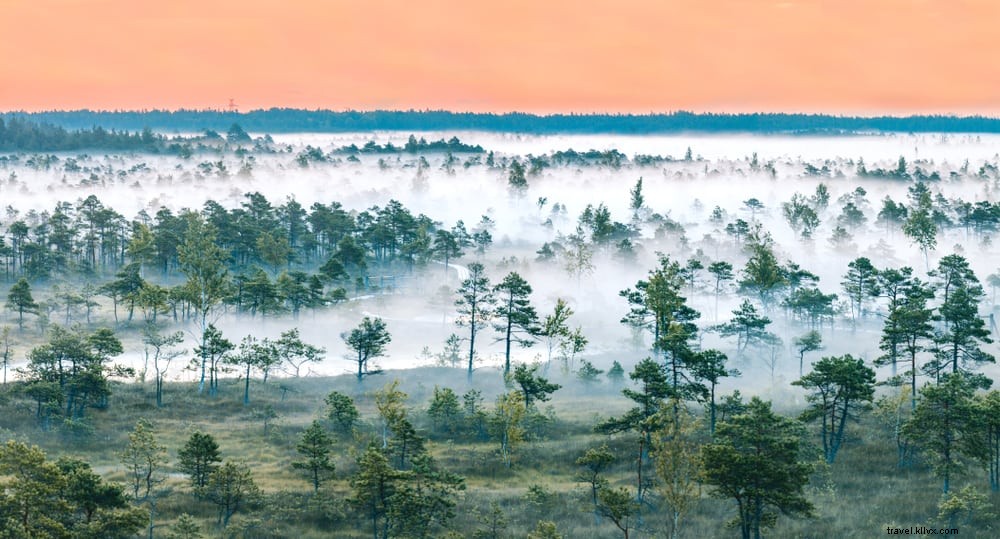 12 des plus beaux endroits à visiter en Lettonie