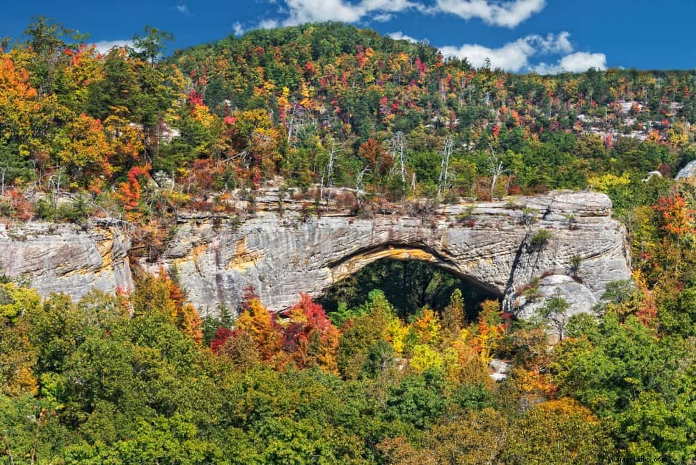 ウェストバージニア州で訪問する最も美しい場所の16