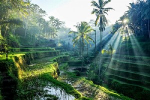 20 dos lugares mais bonitos para se visitar em Bali