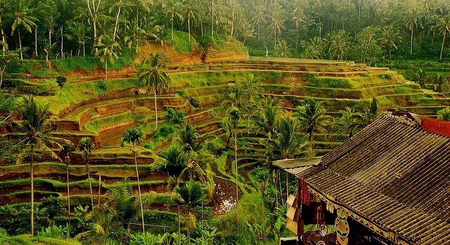 Top 20 dei posti più belli da visitare a Bali