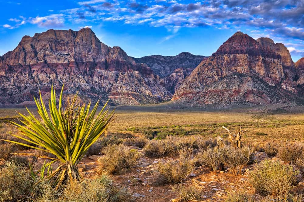 15 tempat terindah untuk dikunjungi di Nevada