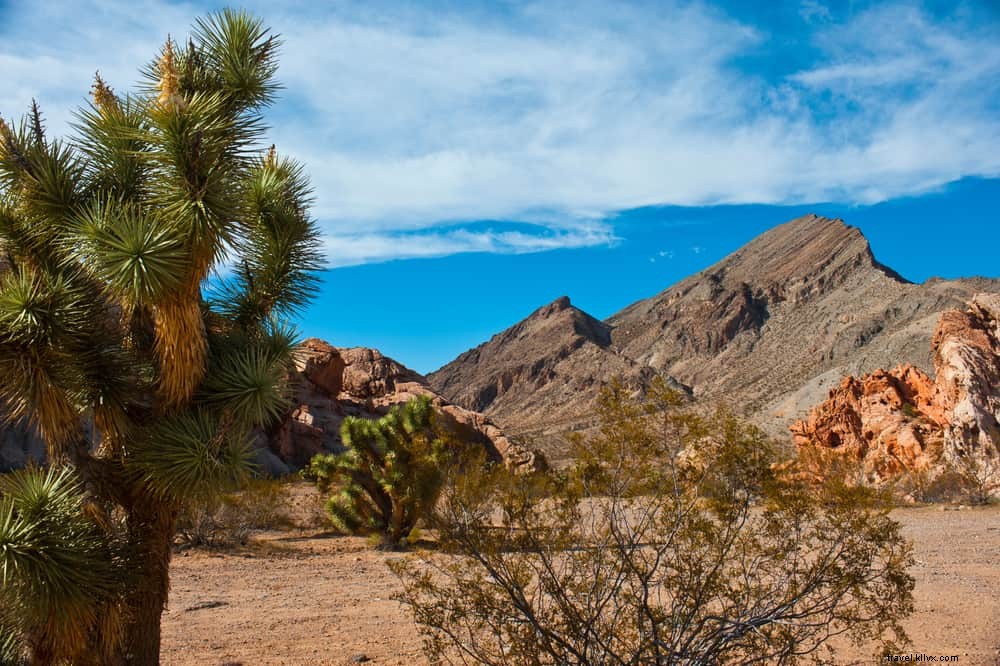 Top 15 dei posti più belli da visitare in Nevada