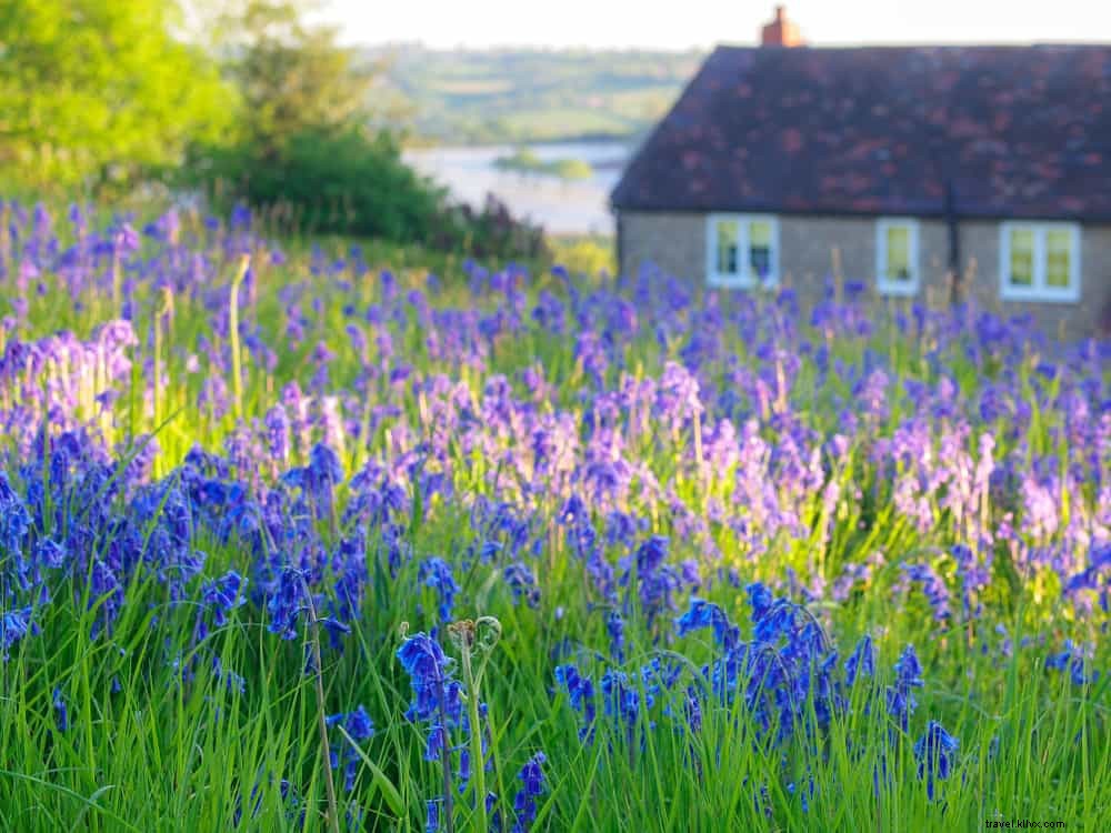Top 15 de los lugares más bellos para visitar en Herefordshire