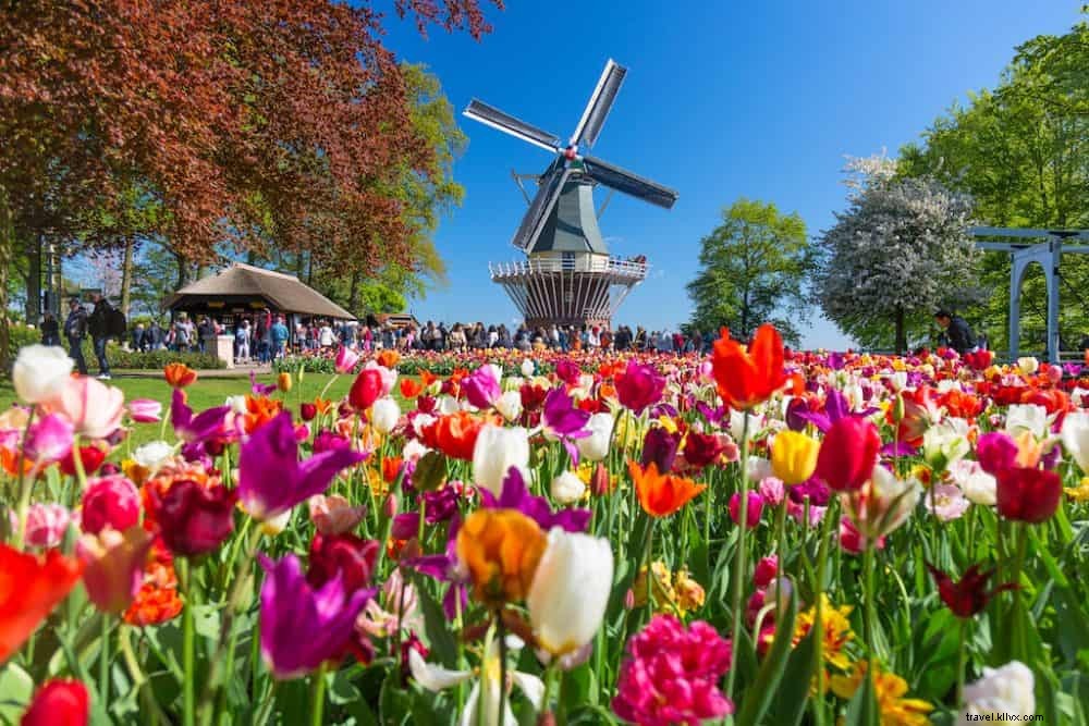 オランダで訪問する20の美しい場所