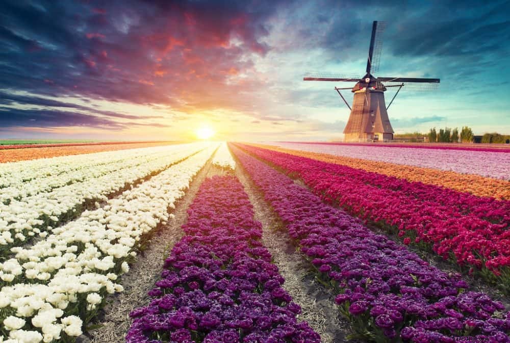 オランダで訪問する20の美しい場所