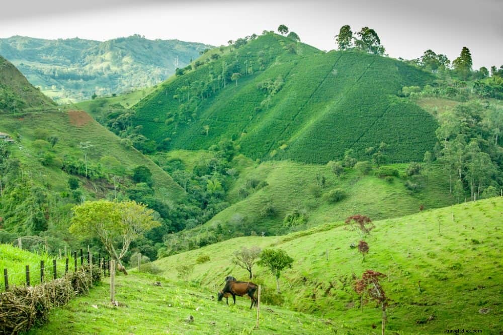 20 tempat terindah untuk dikunjungi di Kolombia