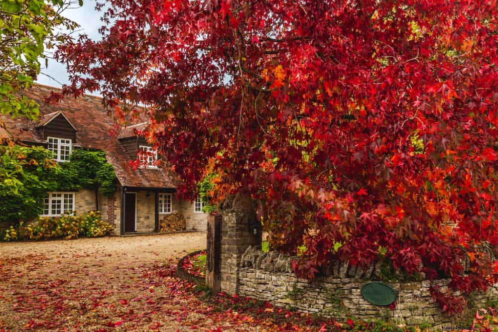 秋に英国で訪れるのに最適な20の場所