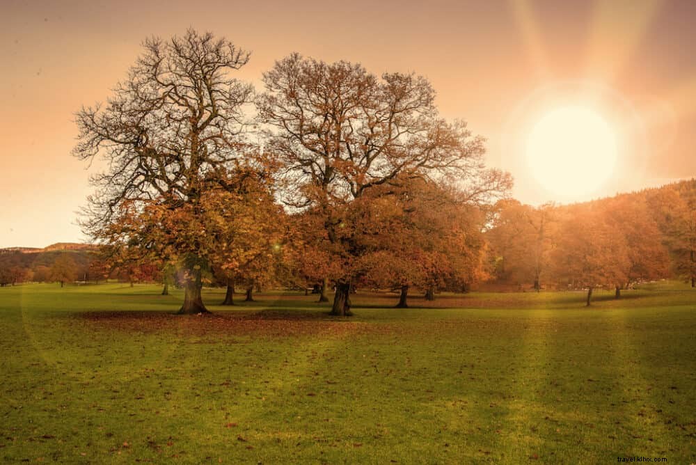 20 tempat terbaik untuk dikunjungi di Inggris di Musim Gugur