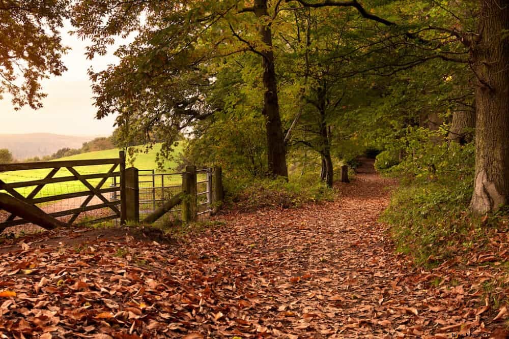 20 de los mejores lugares para visitar en el Reino Unido en otoño