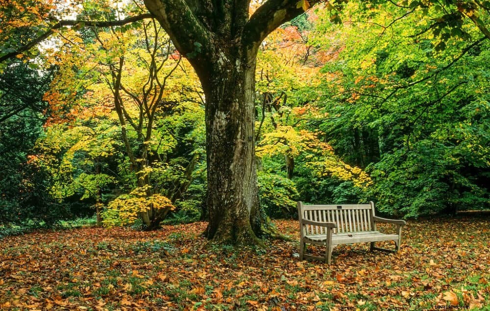 20 dei migliori posti da visitare nel Regno Unito in autunno