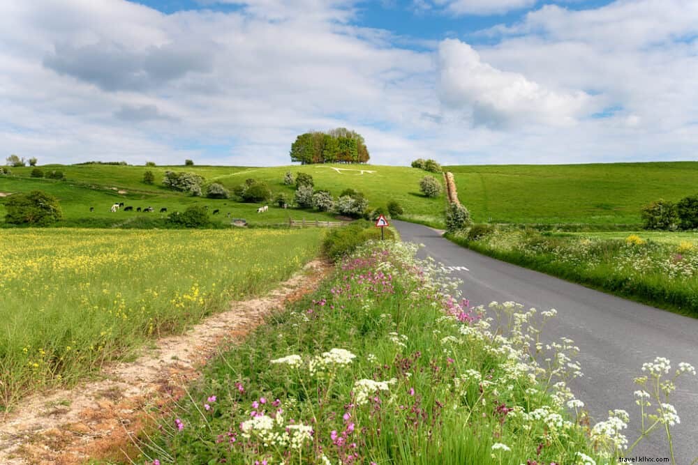 Top 15 des plus beaux endroits à visiter dans le Wiltshire