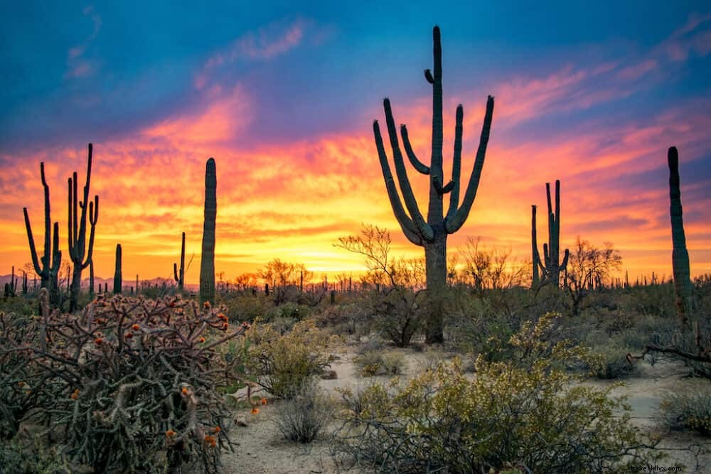 18 tempat terindah untuk dikunjungi di Arizona