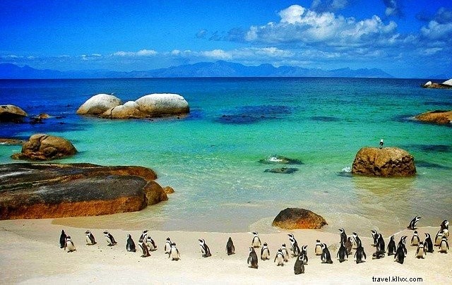 24 des plus beaux endroits à visiter en Afrique du Sud