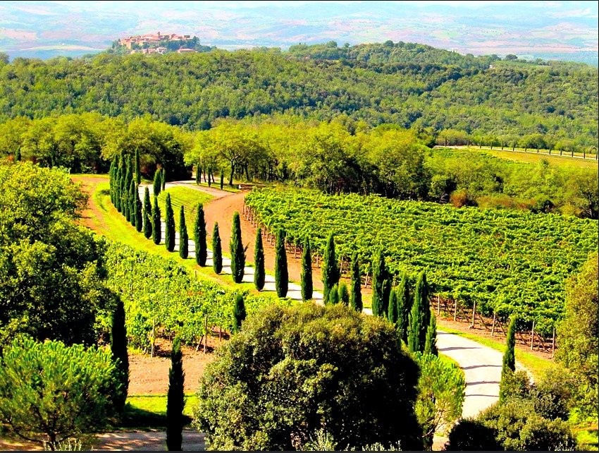 8 delle più belle cantine da visitare in Toscana
