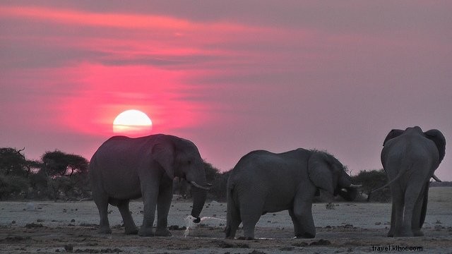10 des plus beaux endroits à visiter au Botswana