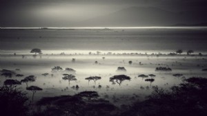 10 de los lugares más bellos para visitar en Tanzania