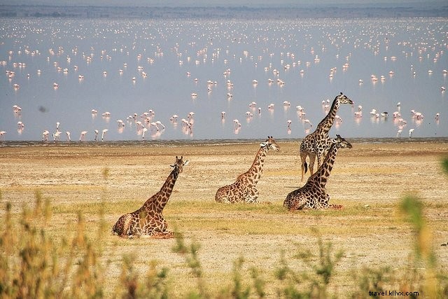 10 tempat terindah untuk dikunjungi di Tanzania
