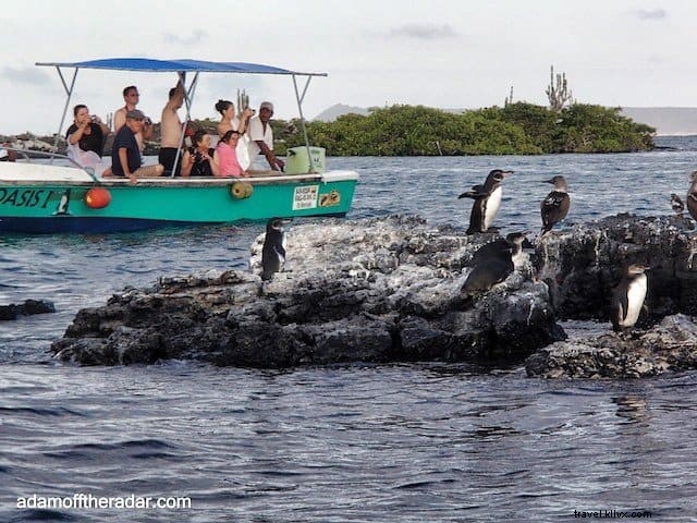 10 tempat menakjubkan untuk dikunjungi di Kepulauan Galapagos