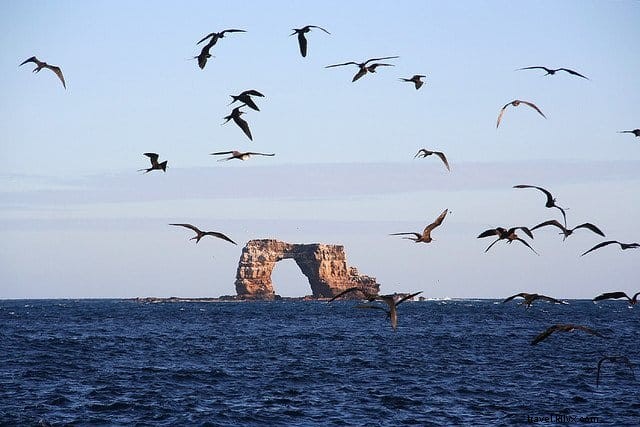 10 posti meravigliosi da visitare alle Isole Galapagos