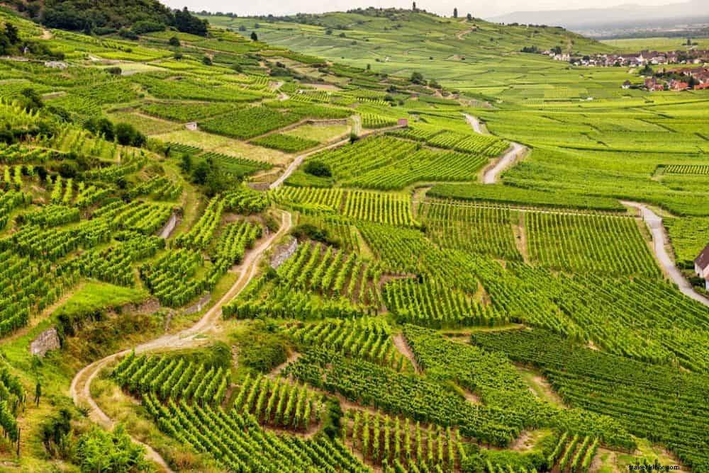 As 10 melhores regiões vinícolas da França