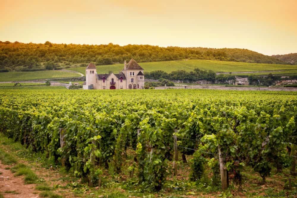 Top 10 de las regiones vinícolas más bonitas de Francia