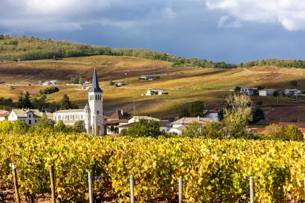 Top 10 dari wilayah anggur tercantik di Prancis
