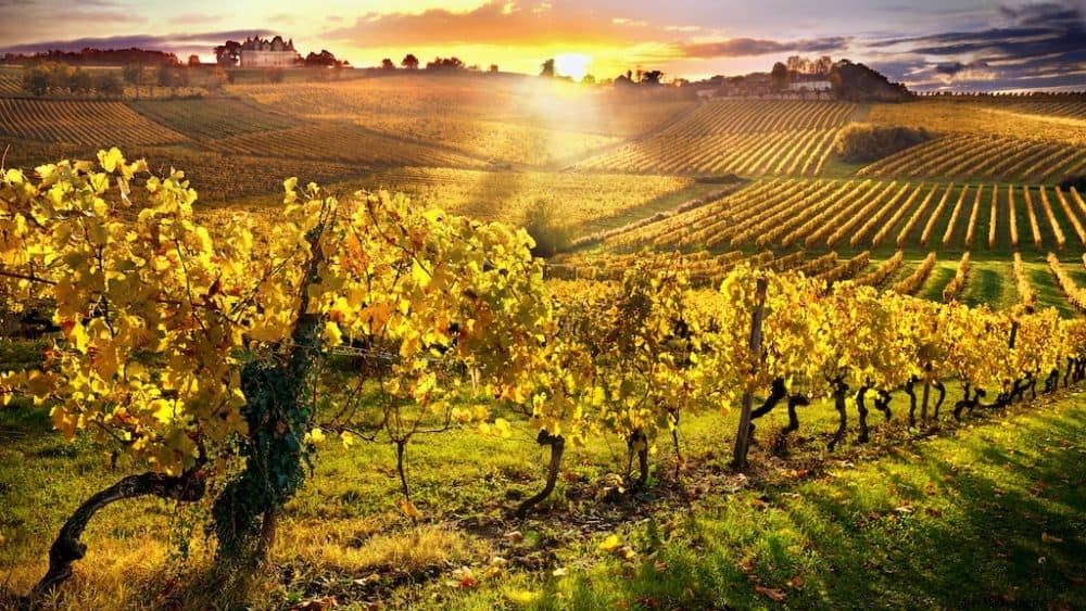 Top 10 dari wilayah anggur tercantik di Prancis