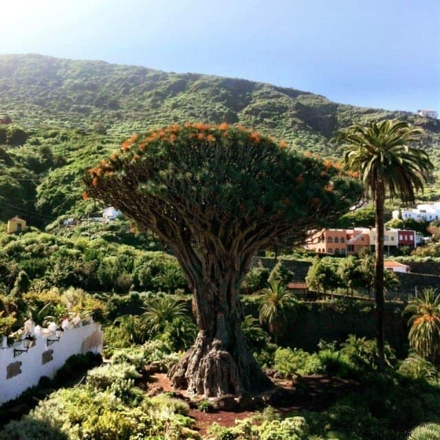 20 tempat terindah untuk dikunjungi di Kepulauan Canary