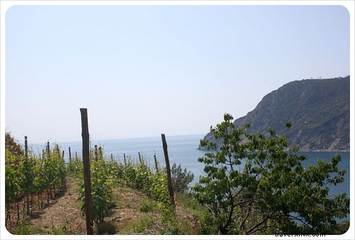 La Via dell amore:Il Sentiero dell Amore | Cinque Terre, Italia