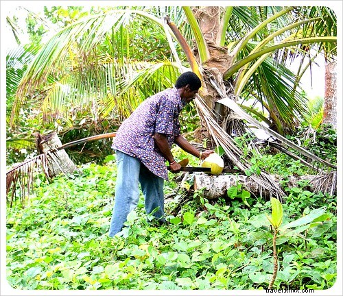 Kepulauan Jagung:Jagung Besar vs. Jagung Kecil
