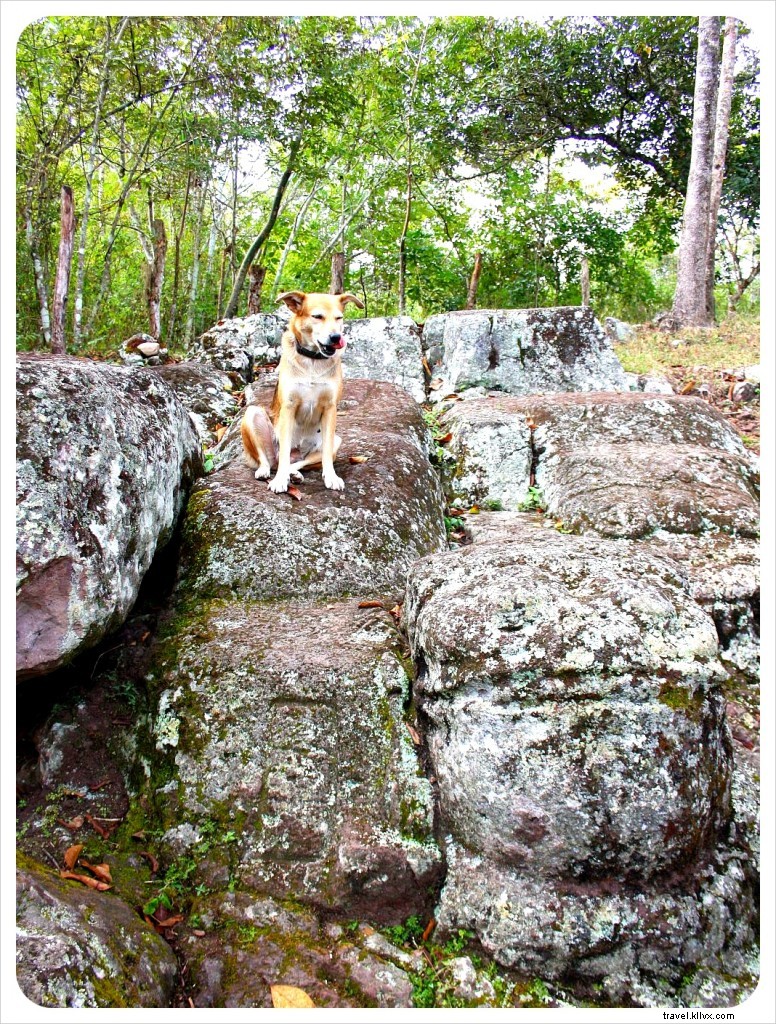 Vai oltre... le rovine Maya di Copan in Honduras