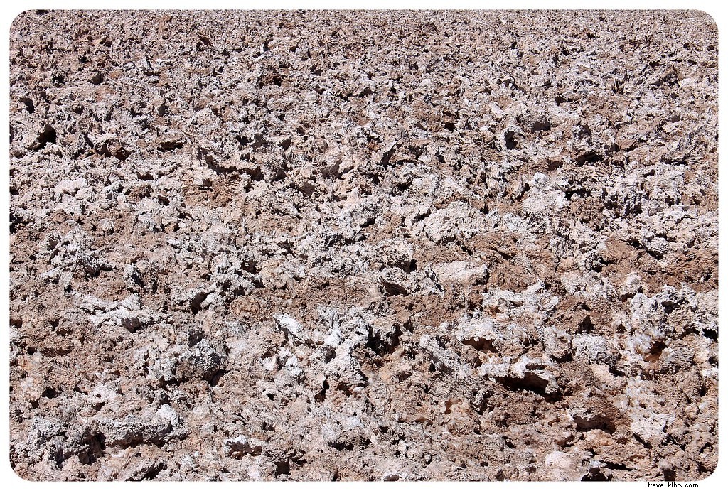 Geyser, dataran garam dan flamingo:Apa yang tidak boleh dilewatkan di Gurun Atacama