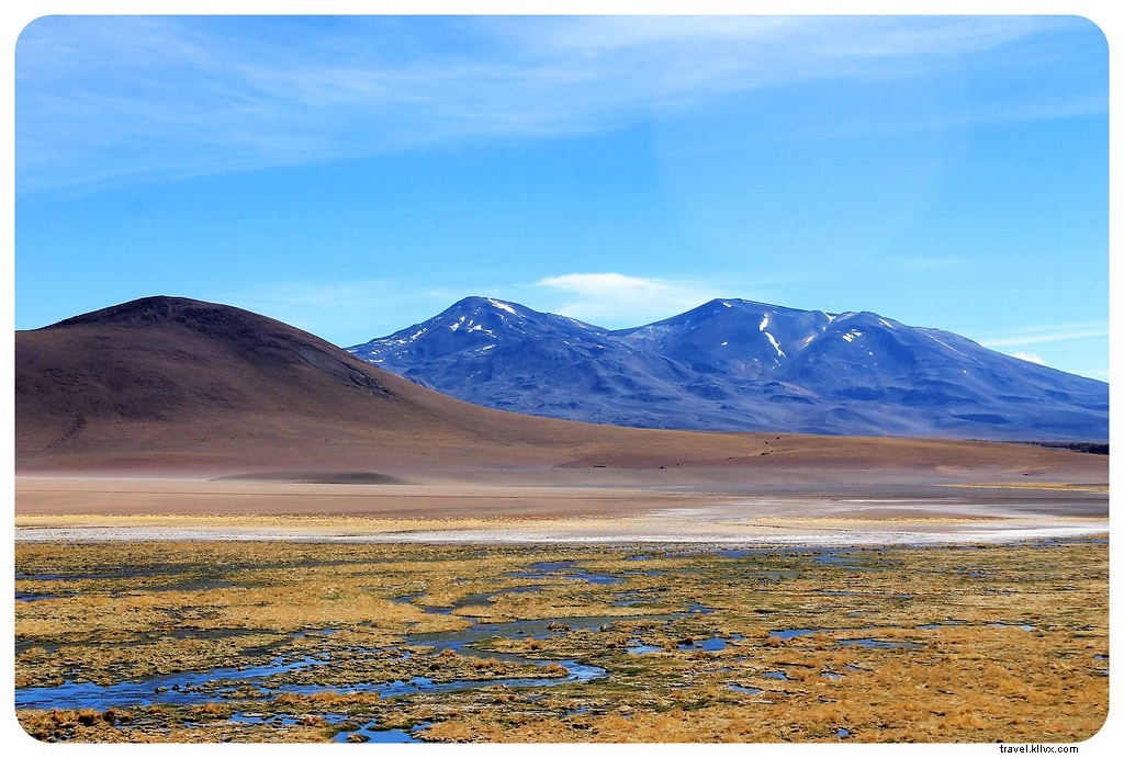 Gêiseres, salinas e flamingos:o que não pode faltar no deserto do Atacama