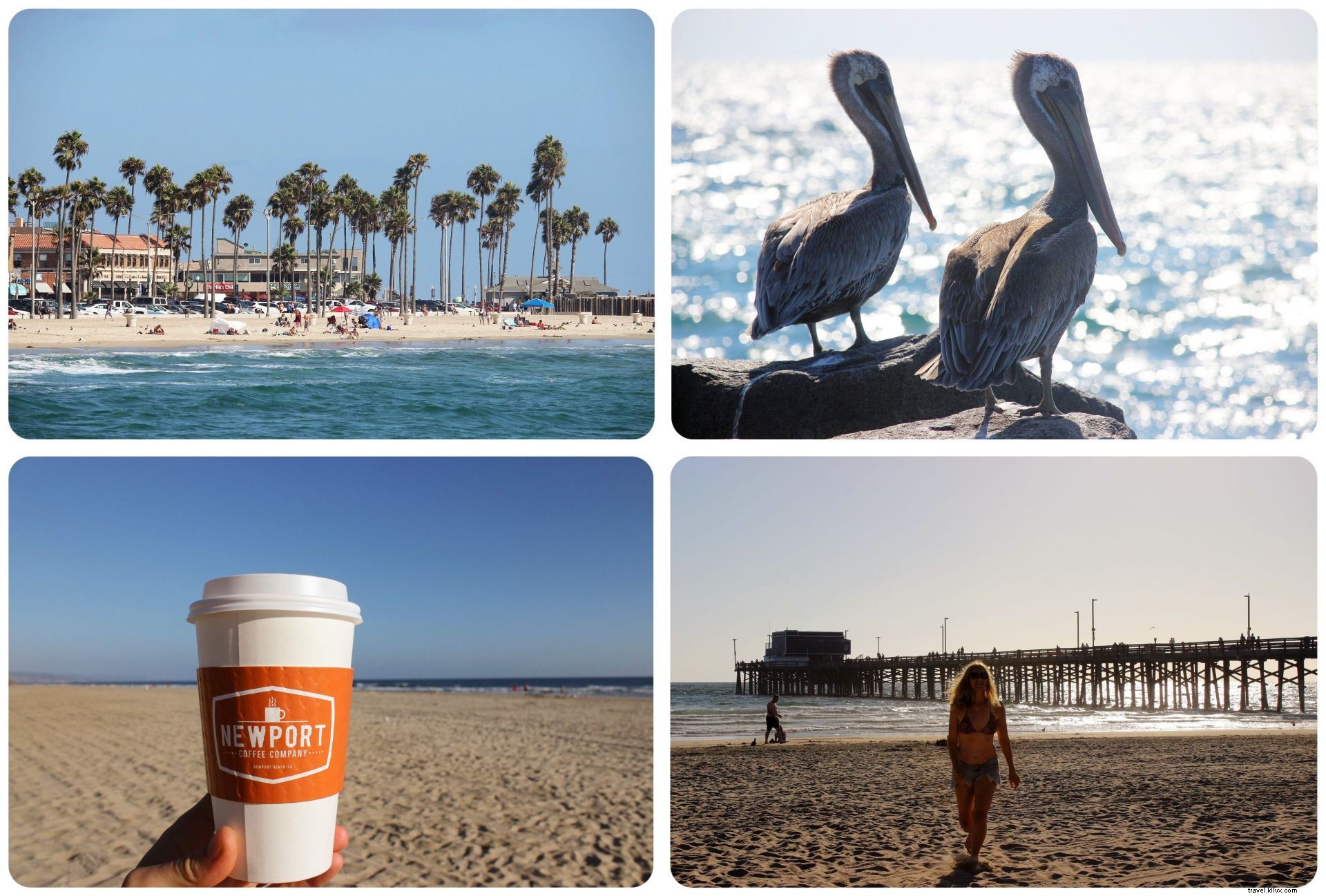 Las 5 mejores paradas a lo largo de la Pacific Coast Highway - L.A. a Laguna Beach