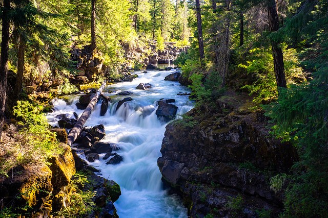 Cinq attractions touristiques étonnantes dans l Oregon